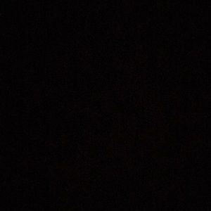 Meet your Posher, Frannie